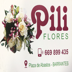 A_3650_M_3687_3993_FLORISTERIA PILI PLAZA ABASTOS.JPG